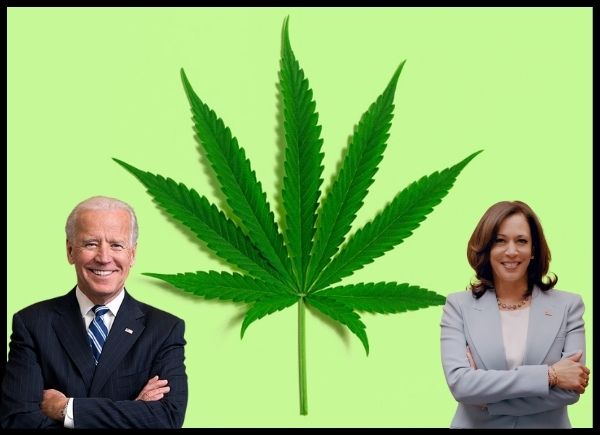 POLL: Should President Biden’s administration legalize marijuana nationwide?